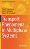 Книга Transport Phenomena In Multiphase Systems