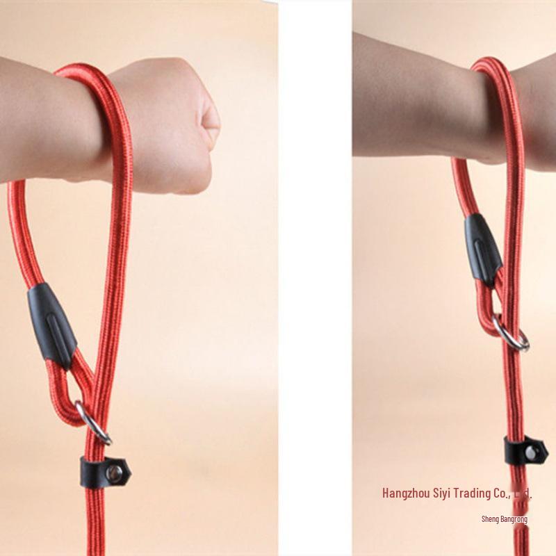 Explosion-Proof Pet Leash: Pull-Resistant Dog & Cat P Chain