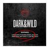 DARK & WILD 1-й полноформатный альбом