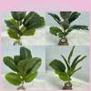 Имитация растений Фикус Эластика Отель Парки Искусственные ландшафты Украшение комнаты