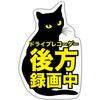 Exproud Car Dash Cam Rear Recording Black Cat Return M Sticker Sticker Sticker 4.9