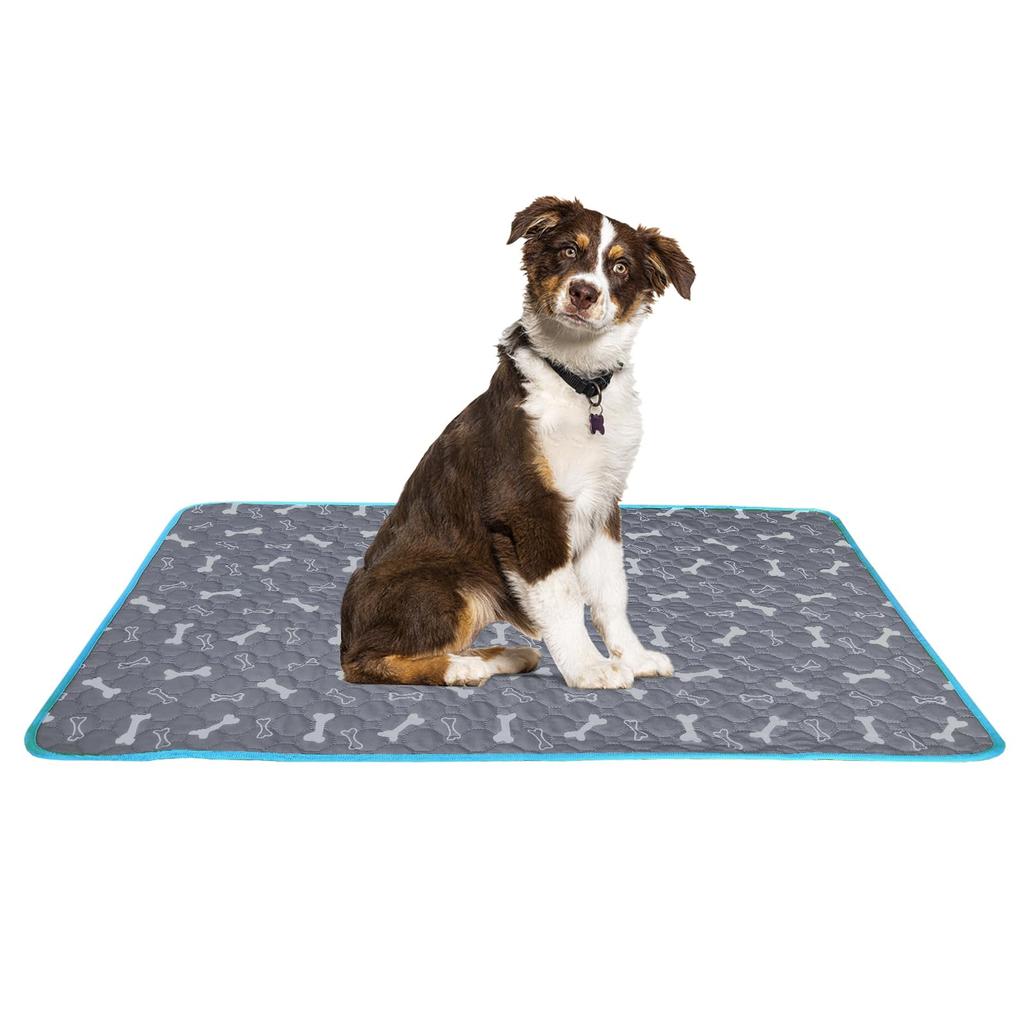 TiTiSNUGY Washable Pet Pet Pee Pee Pad for Cats and Pet Machine Super Leak Nursing Quick Blue Edge Suitable for All Seasons Set of Light Bone Sheets,
