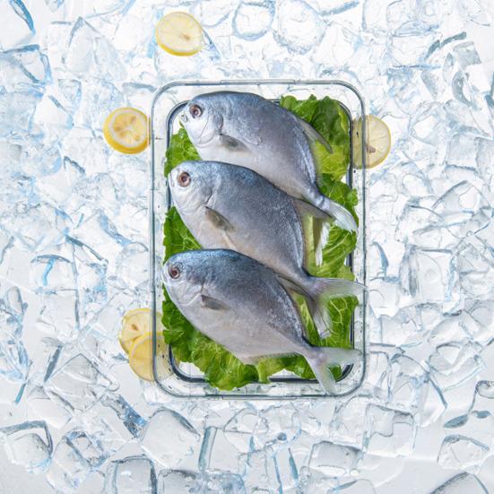 Коробка для хлеба, запись времени, контейнер для хранения еды, пищевой класс, не содержит BPA, прозрачный герметичный органайзер для еды, коробка с крышкой