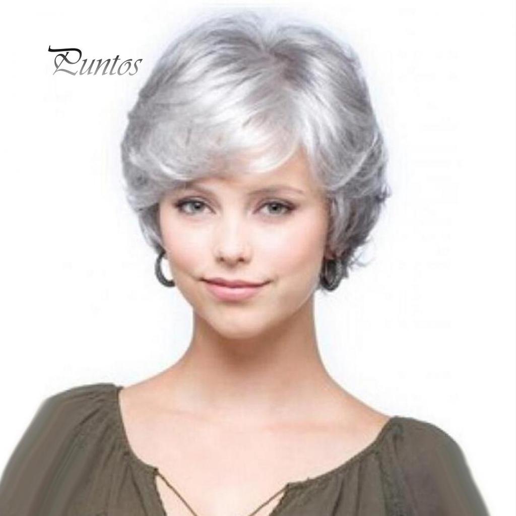 Beautiful Secret Grandmother Gray Short Curly Wig Fluffy Matte Synthetic Hairpiece