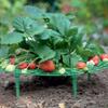 5/10/20 PCS Strawberry Stand Balcony Planting Rack Fruit Support Plant Flower Climbing Vine Gardening Stand