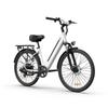 URLIFE-E26 36V Electric Bike 250W Brushless Motor, 36V 13Ah Removable Battery,Urban Commuting & Daily Travel