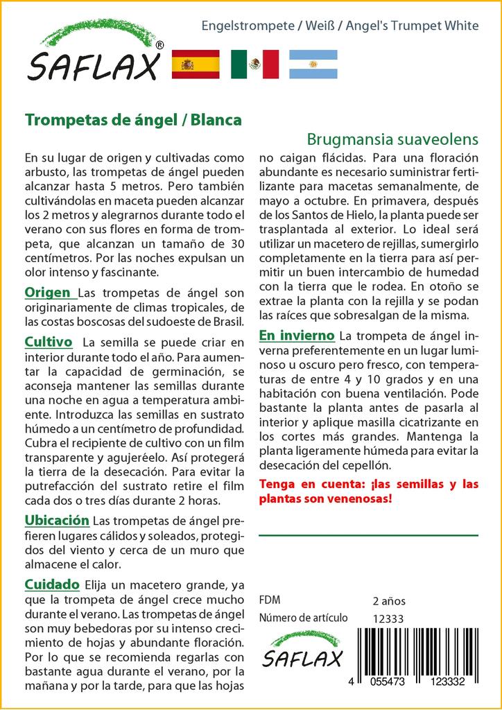 SAFLAX Angel's Trumpet White - 10 семян - Brugmansia suaveolens
