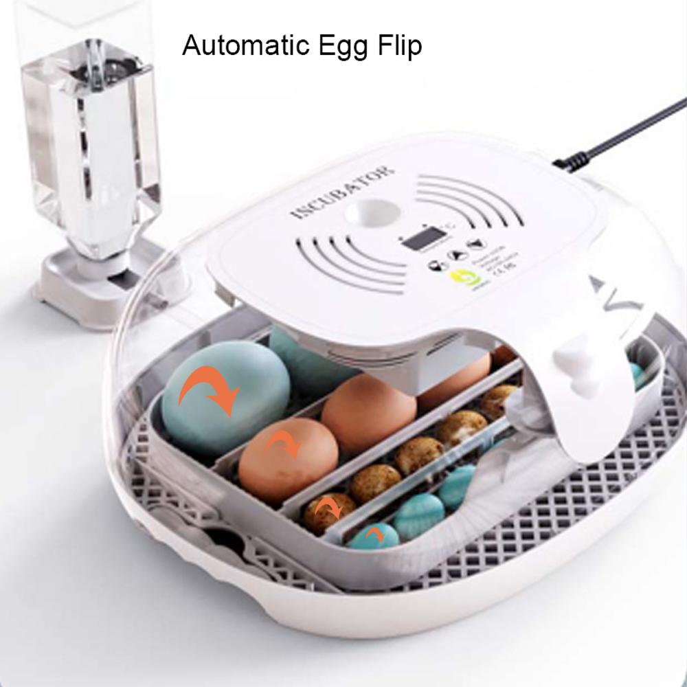 Egg Incubator for Hatching with Automatic Egg Turning Led Egg Test Lamp Clear Lid Easy To Wash 16