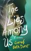 The The Lies Among Us : A Novel Book