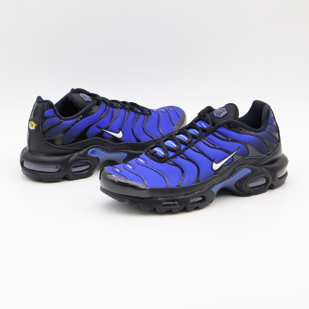 FQ7331-001 Nike Air Max Plus PRM Синий гонщик (Мужской)