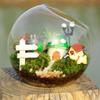 8/10/12/16cm Simple Clear Glass Ball Vase Creative Succulents Plant Container Durable Oblique Plant Terrarium