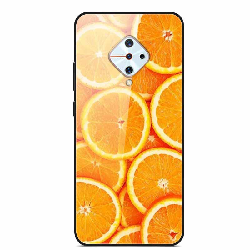 Tempered Glass Case For Vivo V17 Case Russia Glass Back Cover Soft Bumper For Vivo V17 Phone Cases V 17 Funda Y9s S1 Pro Coque