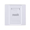 FiberHome Cat6/Cat5e Dual-Port Network Wall Plate
