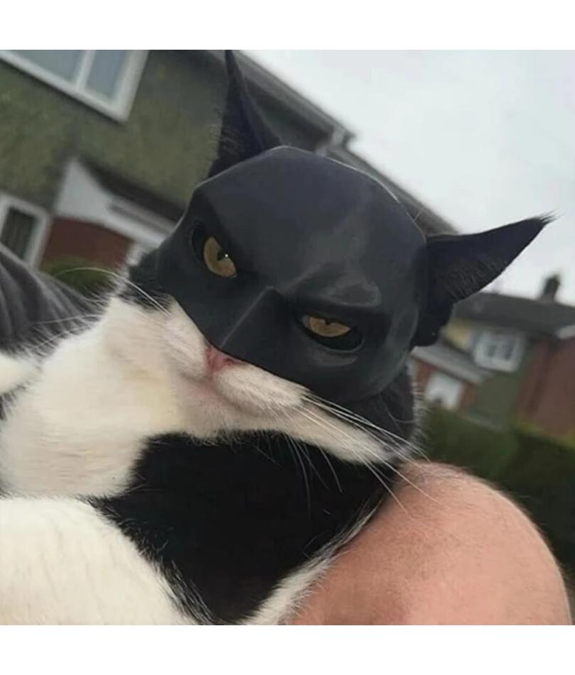 Маска кошки Черная летучая мышь Хэллоуин Косплей Шляпа Кошка Забавные игрушки Крутые маски кошек Фото Реквизит Аксессуары для домашних животных