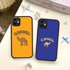 Винтажный чехол для телефона Camel Cigarettes для iPhone 16e 16 15 14 13 12 11 Pro Max X XS MAX Plus Spuerstar Матовый чехол