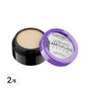 Кремовый консилер Ultimate Camouflage Cream Concealer 3 г, 010 Ivory, 2 шт.