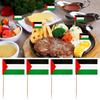 100Pcs Palestine Toothpick Flag Cocktail Fruit Pick Cupcake Topper Party Buffet Cheese Marker Food Label Stick Flag Decoration Kit