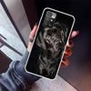 Чехол для телефона с изображением собаки Лабрадор Ретривер для Xiaomi Redmi 12C 12 10A 10C 10X 10 9A 9C 9T 9 8A 8 7A 7 6A 6 Pro K70 K60 K40 K20 Мягкий чехол