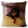 Милый домашний питомец собака миниатюрная такса принт наволочка 45*45 квадратные наволочки льняная наволочка диван домашний декор наволочки