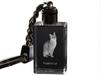 Singapura - Crystal Pendant with Cat Photo, Illuminated Pendant, Unique Gift by Brand