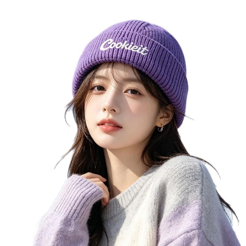 New Letter Embroidery Versatile Warm Knitted Pullover Hat Outdoor Warm Men's and Women's Fashion Temperament Ear Protector Wool Hat