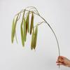 Soft Rubber Hanging Plant Decoration: Lover's Bean Fruit Design for Wall Landscape and Flower Arrangement