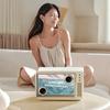 MAO WANG MW-T5 Wireless Bluetooth Transparent Karaoke Speaker