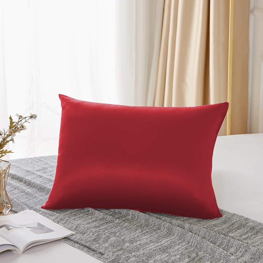 25 Momme Natural Mulberry Silk Pillowcase,Both Sided Pure Silk Pillow Cover Gifts for Women,Pure Silk Pillowcsae For Hair