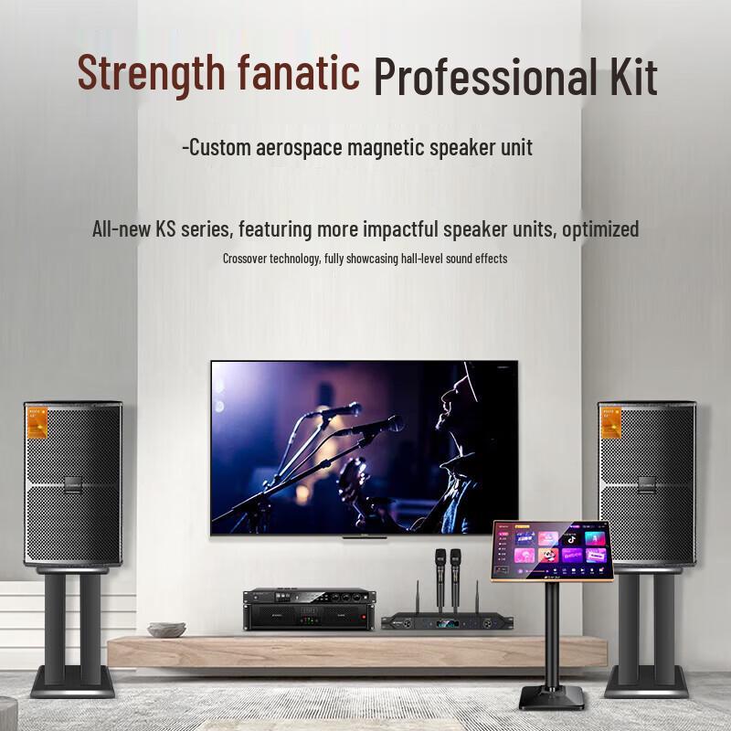 SANSUI KS315 Professional All-in-One Karaoke & PA System CN plug (adapter included)