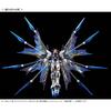 Bandai Интернет-магазин пластиковых моделей RG Strike Freedom Gundam 1/144 [титановое покрытие] (Эксклюзив для хобби)