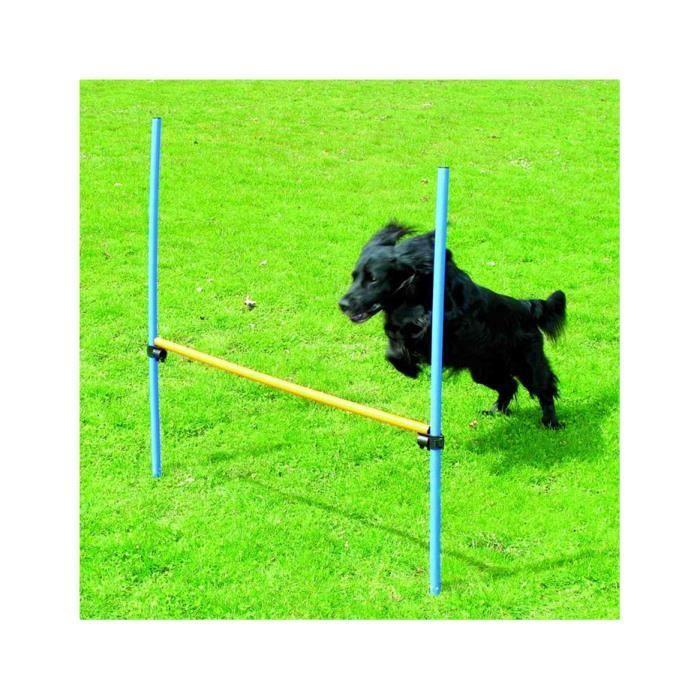 Pawise JOUET A BASCULE Agilité Hurdle Dog Training Hurdle - Agilité Haies - 117 X 6 X 6 Cm PW11432