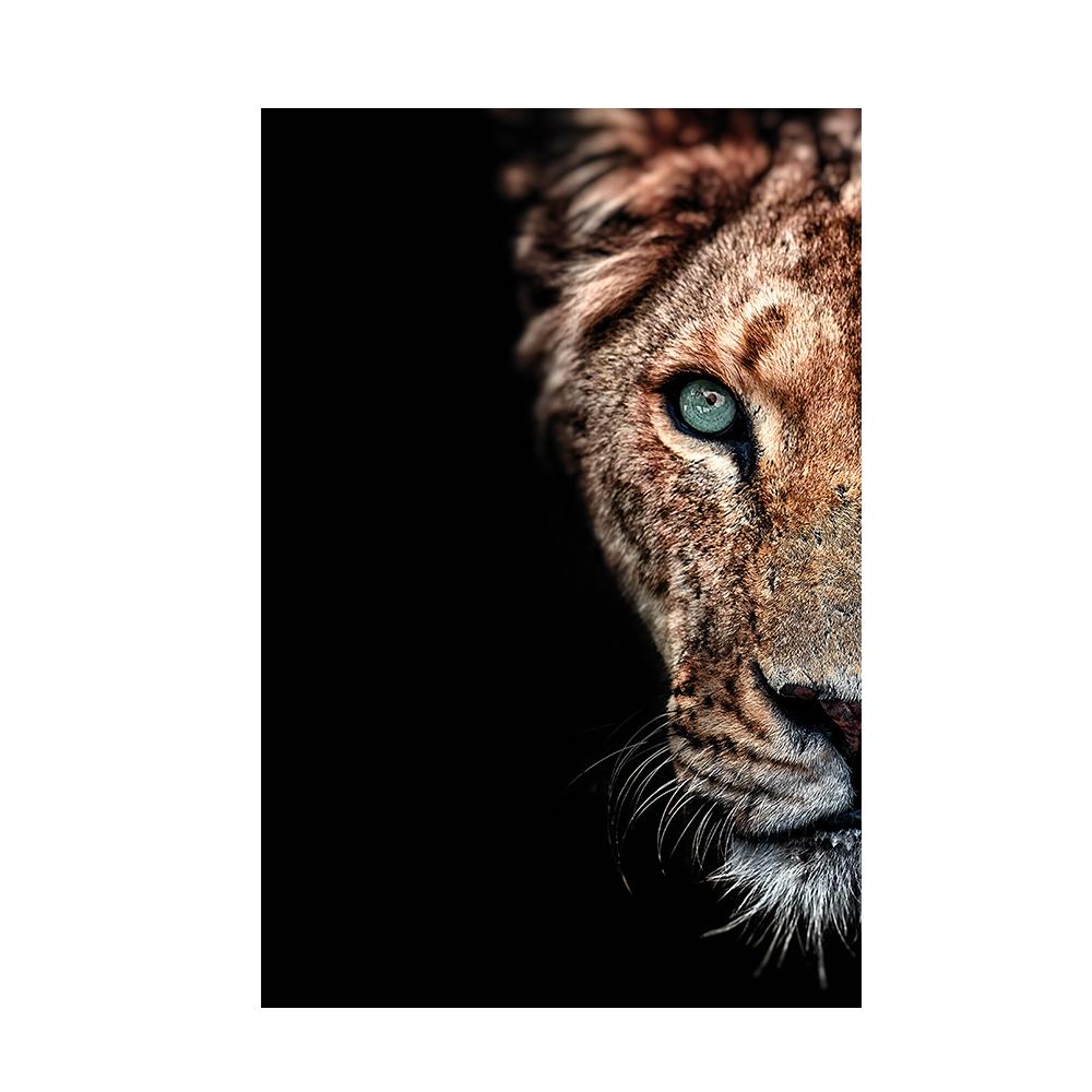 Африканский лев в темноте, настенные постеры и принты, животные, холст, картины, натюрморт, декор для дома