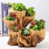 Irregular Wood-Grain Succulent Planter