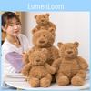 Bear Propia Plush Toy Cartoon Animal Stuffed Doll Bedroom Decoration Gift Kids