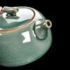 Ceramic Teapot Manual Chinese Ice Crack Split Teapot Can Raise Xishi Tea Pots Household Kung Fu Tea Pot Kung Fu Teapot Tea Cup