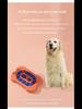 Interactive Dog Educational Feeding Toys - Entertaining and Engaging for Pets