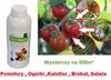 Nawóz Organiczny Agrolinija-S Ekologiczny Na Warzywa, Kwiaty  1Litr