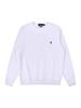 Ralph Unisex Pure Cotton Thin Long Sleeve Hoodie with Small Horse Logo