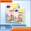 Хайши Хайно Долгодействующий согревающий пластырь | Одноразовая грелка на 8-10 часов | Бесплатная доставка