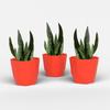 Шестигранный 8-дюймовый набор из 3 штук пластиковых цветочных горшков для домашнего декора, горшки для комнатных растений для гостиной, пластиковый цветочный горшок для сада (красный)