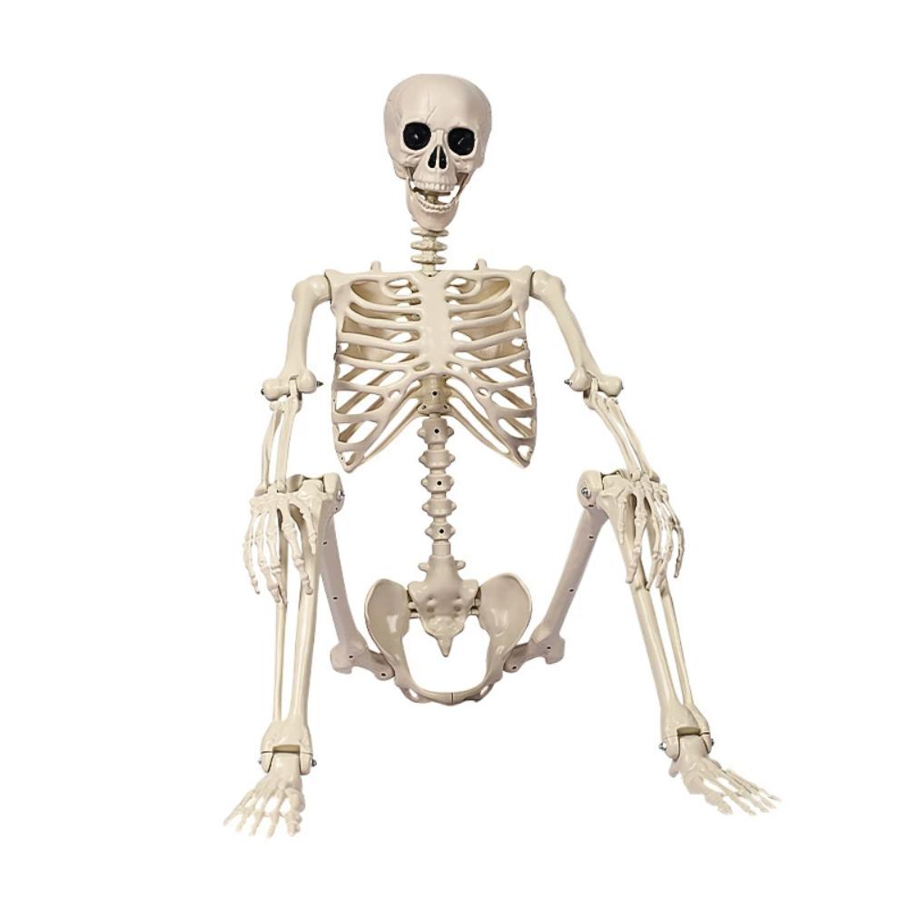Halloween skeleton human 40cm movable joint standing scene arrangement plastic simulation skeleton model