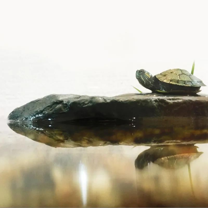 Креативный террариум для рептилий, аксессуары для черепах, платформа для баскинга, пещера для отдыха, смола, игрушка для лазания, украшение для аквариума, декор, ползающие питомцы