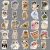 100 Cute Kitten Cartoon Stickers: Decorate Cups, Phone Cases, Guitars & More