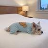 Warm Dog Anti-hair Loss Clothing Soft Pet Jumpsuit Dog Four-Legged Clothes  For Autumn Winter