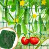 Garden Climbing Net Protecting Flowers Seedlings for Climbing Plants Loofah Morning Glory Flowers Cucumber Vine