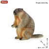 Oenux  Wild Animals Forest Orangutan Pigeon Hedgehog Aardvark Capybara Action Figure Model Figurines Pvc Collection Kids Toy
