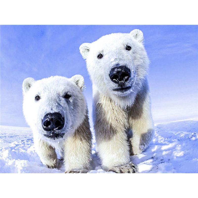 5D DIY Diamond Painting Full Round Drill Diamond Embroidery Animal Polar Bear Picture Mosaic Rhinestone Home Decoration