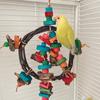 Parrots Toy Birdcage Tearing Rope Swing Toy MultiColored Wooden Block Chewing Toy for Medium Birds Birdcage Hanging Toy