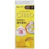 Cielo Hoyu Cielo Mousse Color 5 Brown 50g+50g