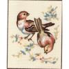 Canvas Kit - Penelope - Birds - 14 X 18 Cm - Printed Canvas - Needle and Thread Included